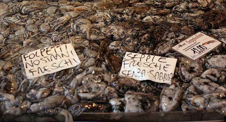 The Venice fish markets