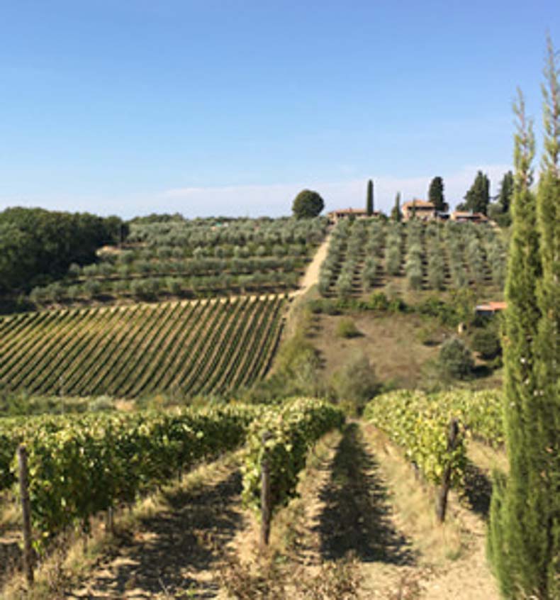 The landscape of tuscany