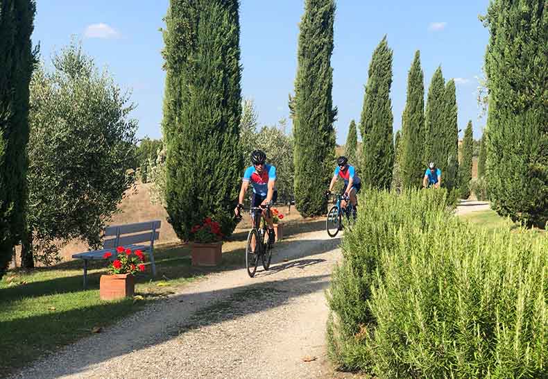 Riders cycling past cypress pine trees in tuscany