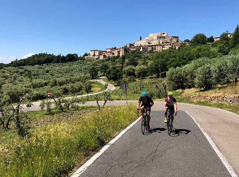 Riders cycling through an olive grove in Tuscany