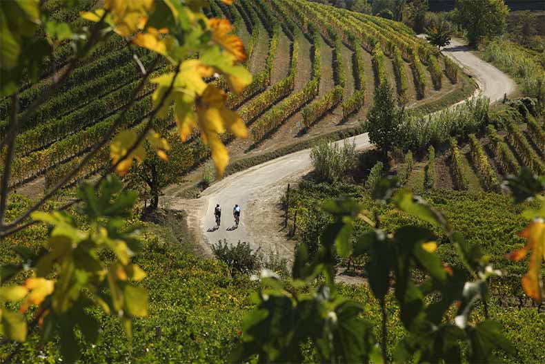 two riders on a windy road in Piemonte