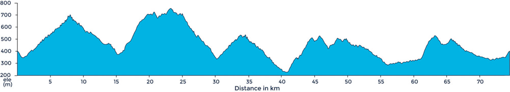 Ride profile to Greve in Chianti