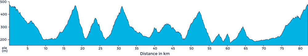 Ride profile of ride to Nieve