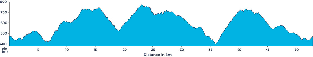 A ride profile that takes us deep into the bosco of Piemonte