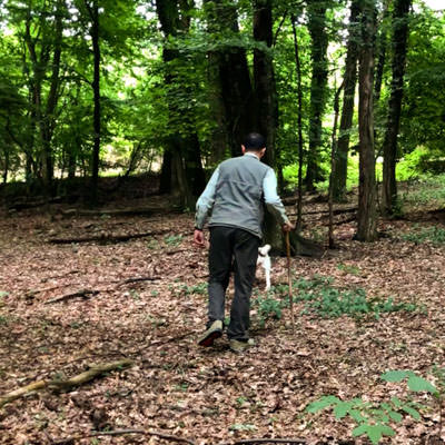 A truffle hunter