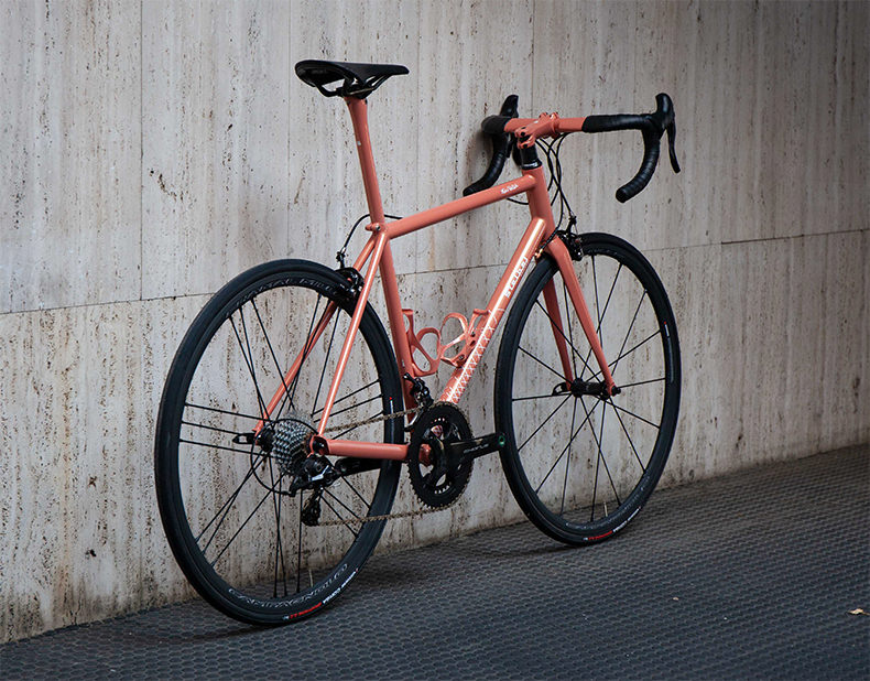 A rear view of a complete Stelbel Rodano bicycle