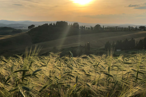 A sunset over the rolling Tuscan Hills