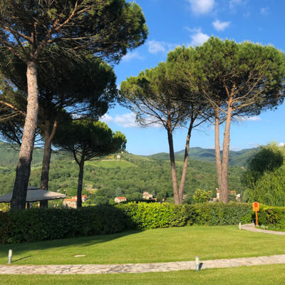 The gardens at our Tuscan accommodation