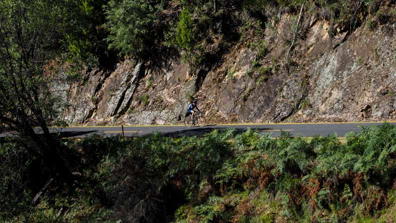 a man cycling up Mount Buffalo