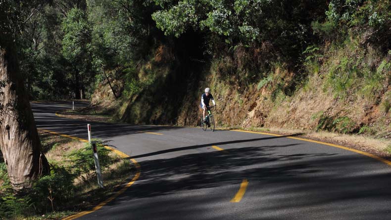 the winding ascent of mount buffalo